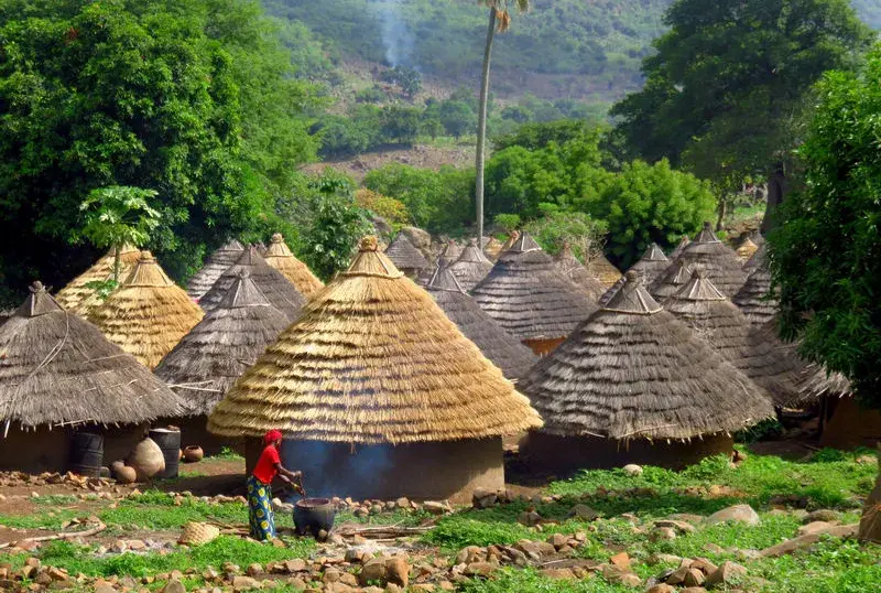 A village in Senegal, West Africa. Yellow fever is endemic to that region.