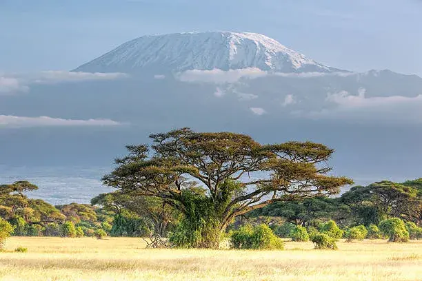 Kilimanjaro Mountain: 7 Day - Rongai Route, Starting from: $1,738</abbr>