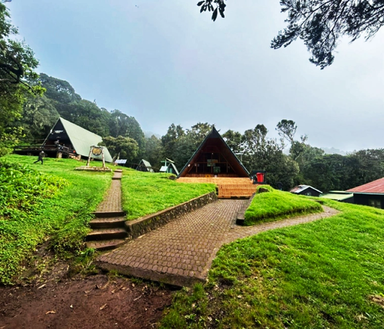 An adventurous journey to Kilimanjaro via the Marangu Trail day trip.