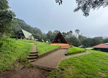 An adventurous journey to Kilimanjaro via the Marangu Trail day trip.