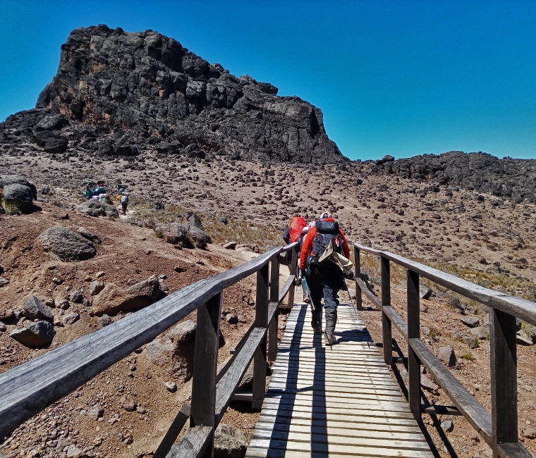 Trekking Kilimanjaro Mountain: 6-Day:  Kilimanjaro Umbwe Route