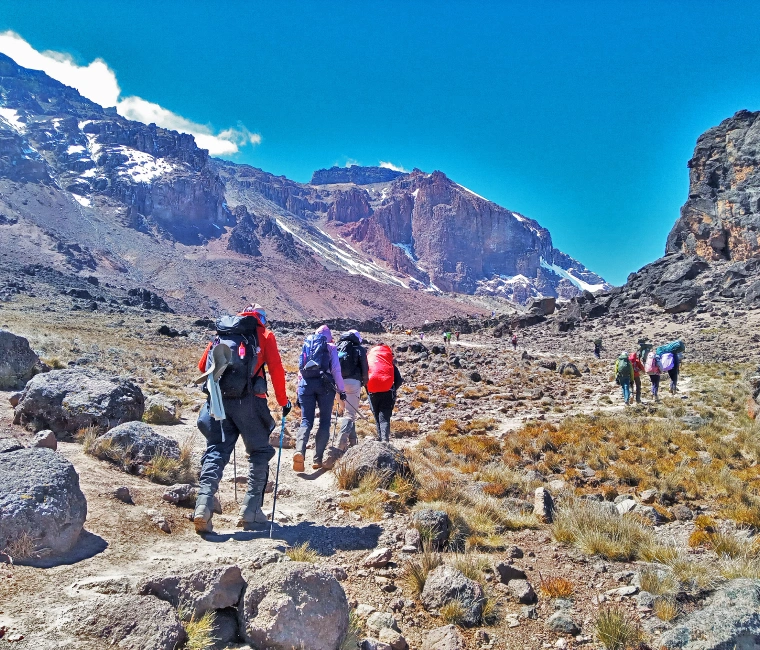 Trekking Kilimanjaro Mountain: 8-Day: Kilimanjaro Lemosho Route