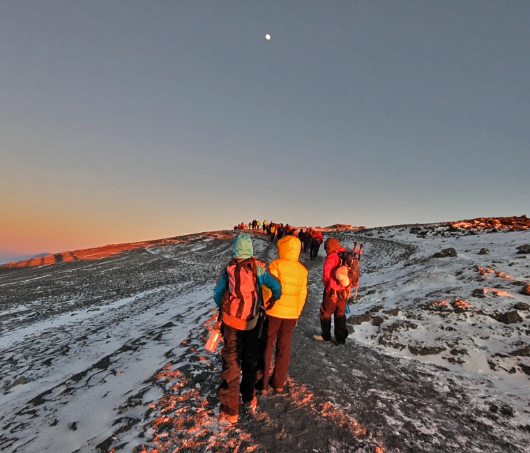 Trekking Kilimanjaro Mountain: 8-Day: Kilimanjaro Northern Circuit