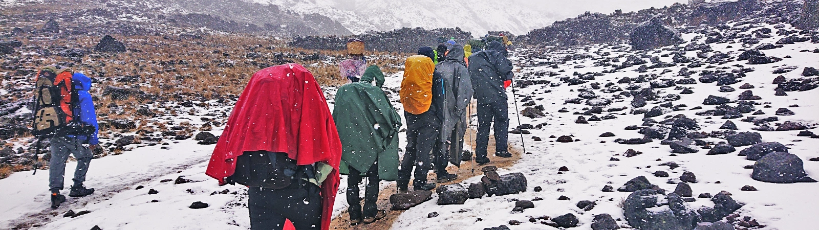 Group pushing through snow to Lava Tower on the challenging 7-day fixed departure trek to Barranco Camp.
