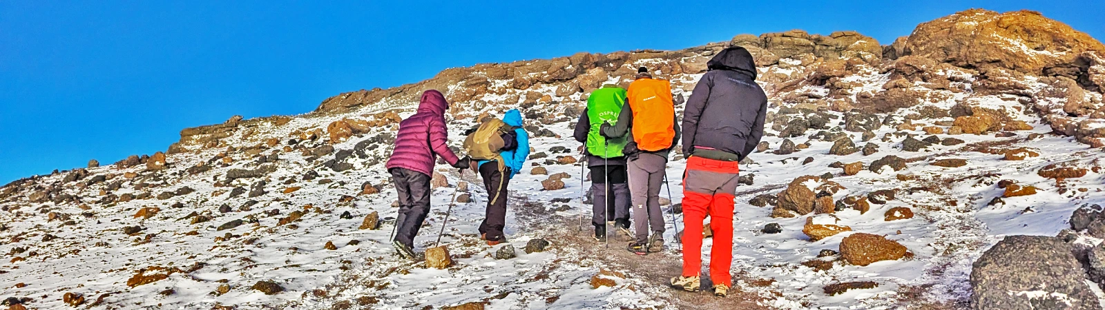Final steps of the demanding summit push on the 7-day Machame fixed departure trek.