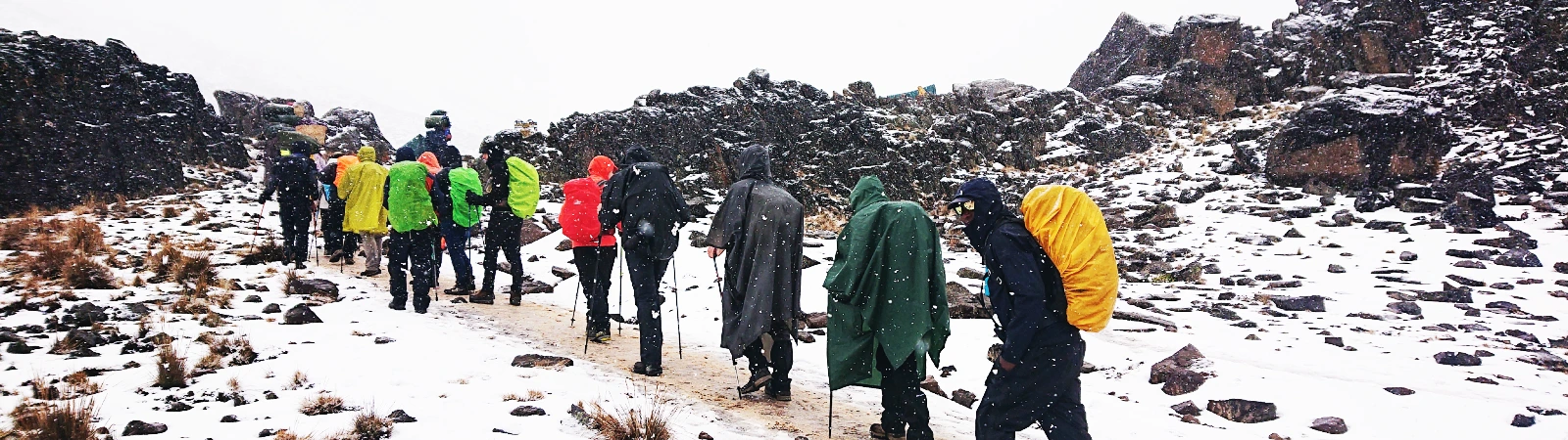 Climbers ascending to Lava Tower before dropping to Barranco Camp on the 8-day fixed departure trek.