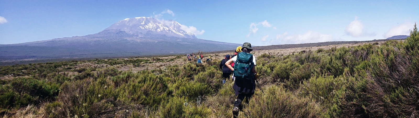 Beginning the 8-day Northern Circuit trek, hiking from Big Tree Camp to Shira 1 Camp.