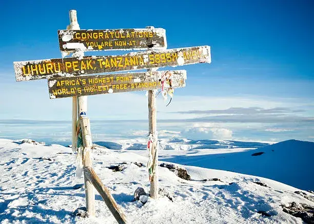 Join group: 8-Day | Kilimanjaro Lemosho Route