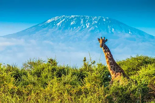 Join group: 5-Day | Kilimanjaro Marangu Route
