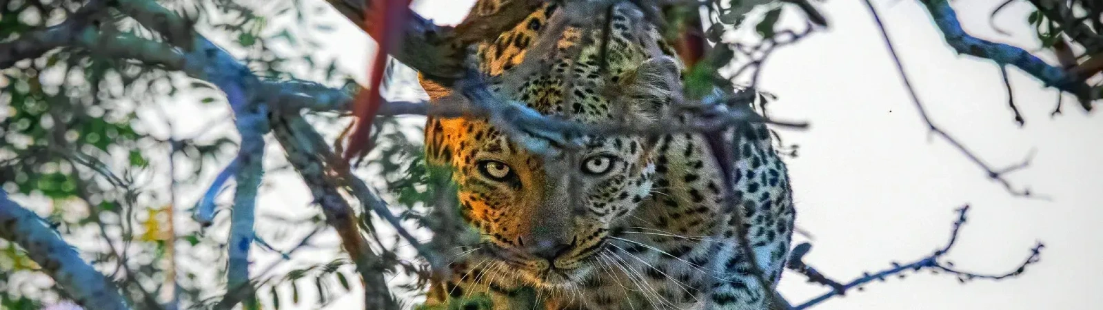 Privacy Policy outlining secure customer data protection for all Tanzania tour and safari bookings.