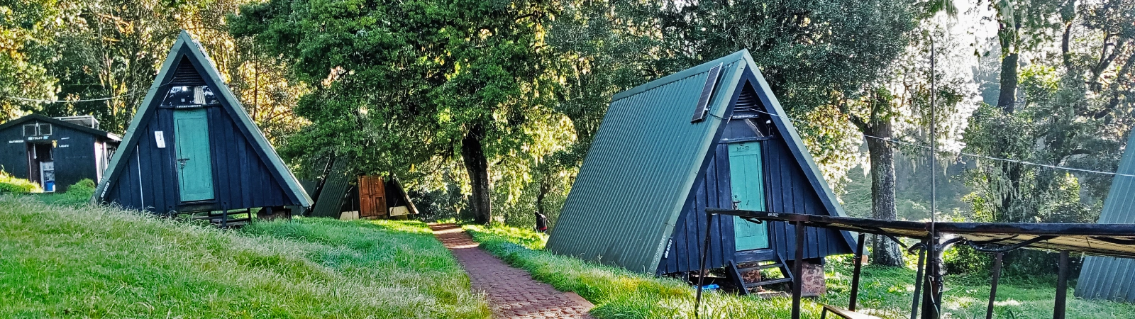 The beautiful vegetation at Mandara Camp enhances the stunning views of Kilimanjaro along the classic 6-day Marangu route.