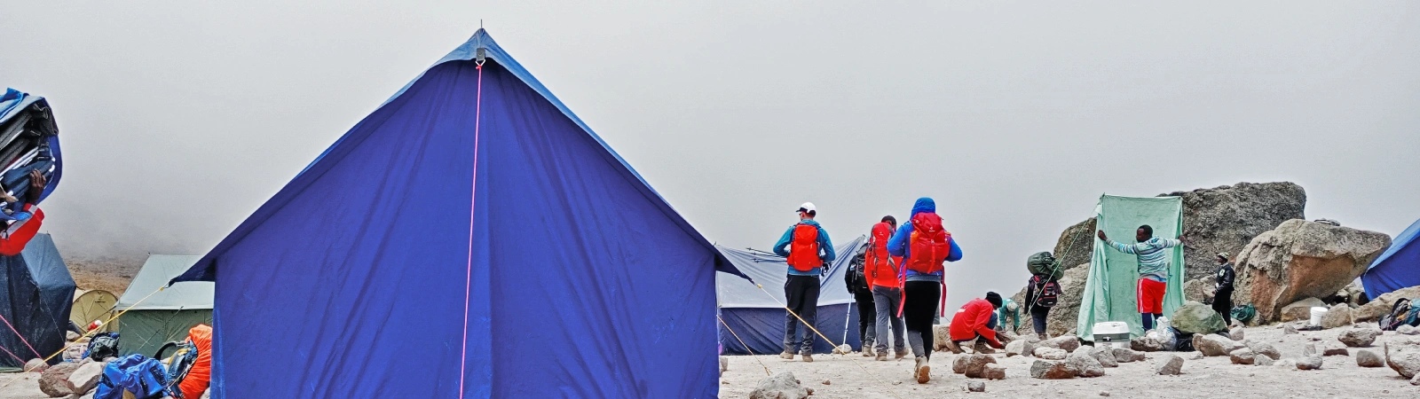 Long-distance trek across the scenic Shira Plateau on the 8-day Lemosho route.