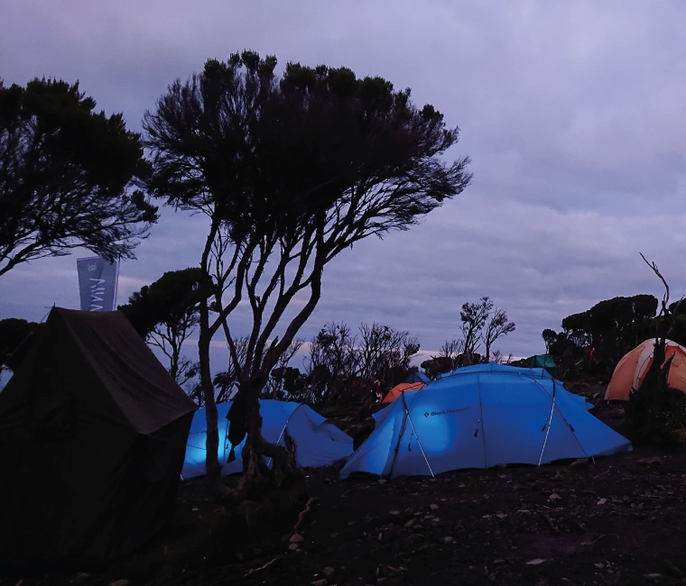 Trekking Kilimanjaro Mountain: 8 Day - Northern Circuit