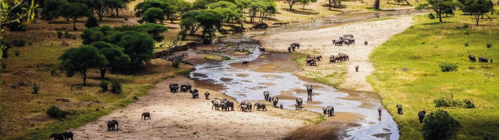 Quick wildlife escape through Tarangire, Lake Manyara, and Ngorongoro Crater – 3-day Tanzania safari