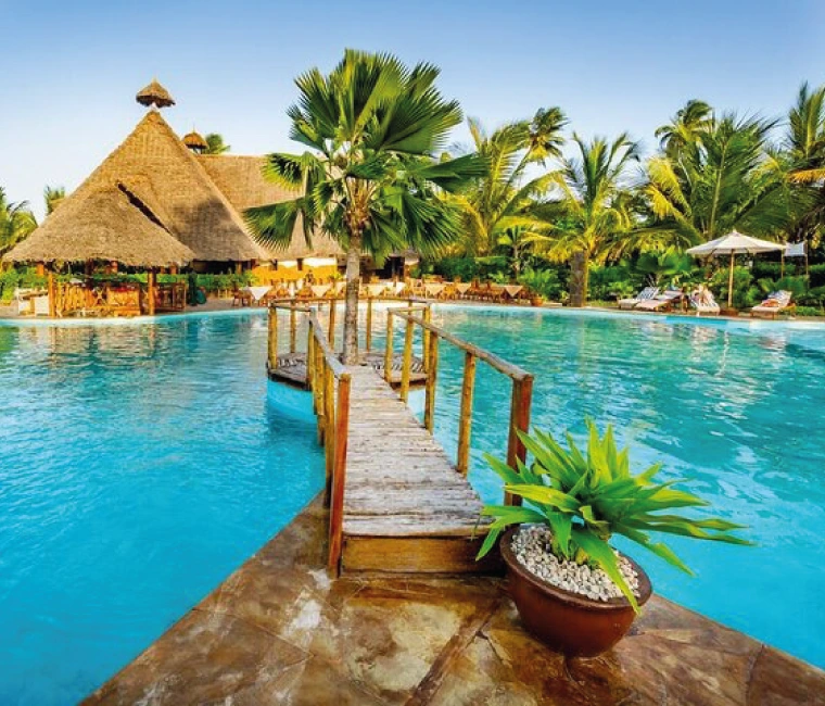 Green coconut palm trees on a tropical beach in Zanzibar